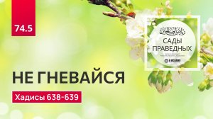 74.5 Сады праведных. Не гневайся. Хадисы 638-639. Ринат Абу Мухаммад