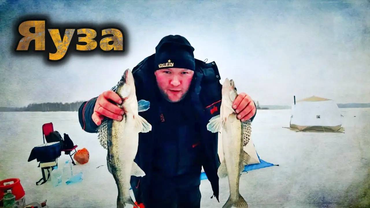 Яузское Водохранилище.Всё пошло не по плану!Ловля судака на жерлицы!
