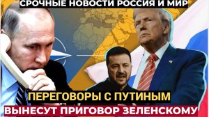 Срочно! Трамп летит в Москву к Путину. Америка заявила о переговорах по Украине