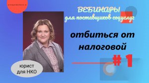 Вебинар # 1. Отбиться от налоговой. Вебинары для поставщиков соцуслуг.