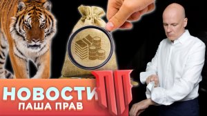 Что будет с оружием в 2025-м году. Перестрелка из за беляша. Дед Мороз с обрезом. Тигры и медведи