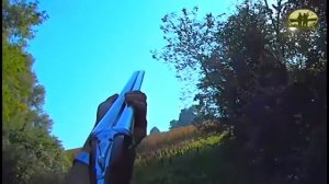 Ахота на фазана