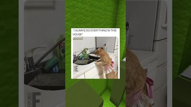 Cute Pet Memes #126