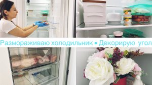 Зачем размораживать холодильник❄️• Почему капельная система• Мою холодильник• Новый декор• Ануарочка