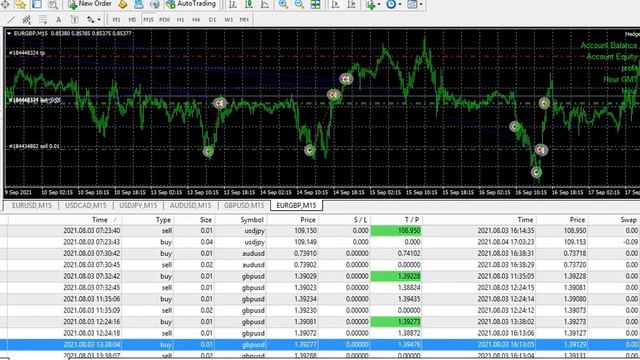 Master Forex Trading with Hedge Expert EA Unleash Profitable Strategies for 2024