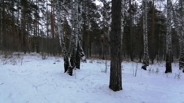 ASMR SOUNDS Звуки снега под ногами. Релакс.