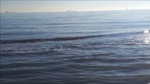 Керчь. Море, берег районе Аршинцевская коса 10.01.25