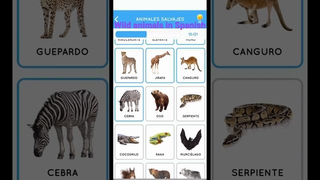Animales salvajes en Español | wild animals in Spanish