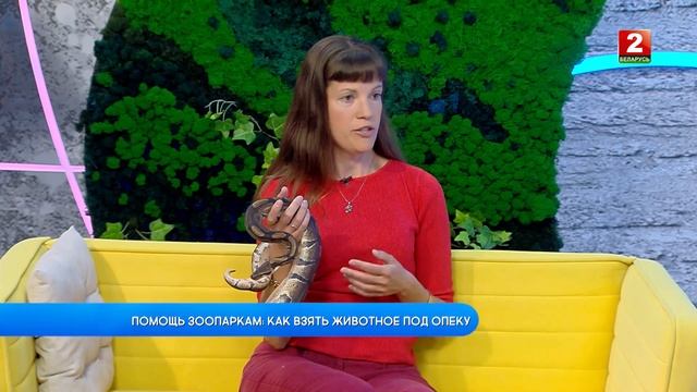 Помощь зоопаркам: как взять животное под опеку! Солтысова Татьяна - гость!