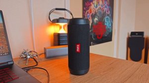 Xiaomi Sound Outdoor 30W VS Mifa Wilrod "GOOD BASS & LOUD?!"