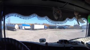 Рейс на Тимашевск | заглючела коробка | куплю себе муравьиную ферму