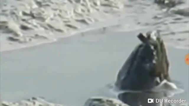 Смотрим 8жутких монстров с канала зомби чез смотреть онлайн