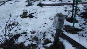 Виноград. И снова о зиме...