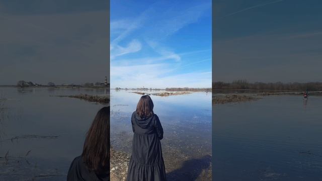 Без него