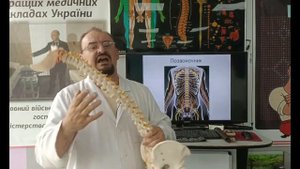 Триггерные боли и миофасциальный синдром
