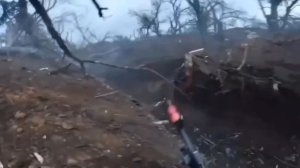 Здесь птицы не поют, Деревья не растут, и только мы плечом к плечу...............