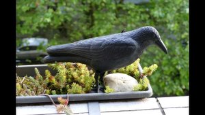 Leica V-LUX Typ 114  camera test + zoom + video + sample images in 2024