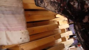 В гостях у пчеловода. Едем за рамками для пчел. Обзор одной из пасек в Костромской области