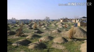 Мендан рози булинг жигарларим......... Дунёларни ларзага солди бу шеър.. Уткинчи дунё бу....