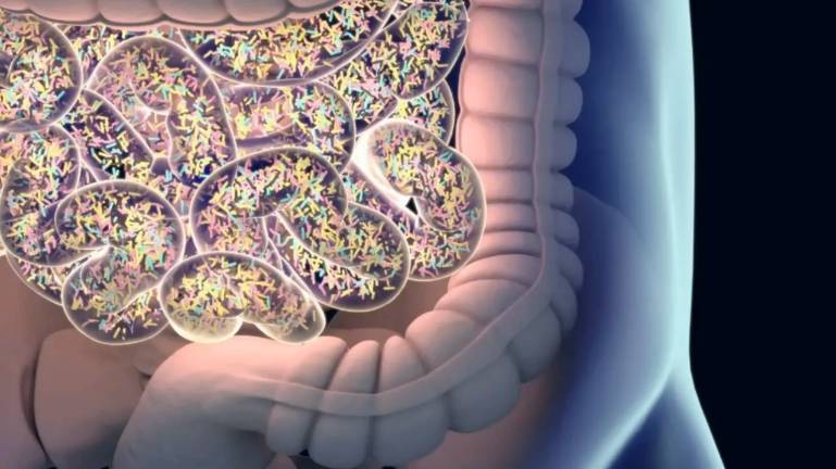 Дисбактериоз симптомы причины последствия. Как восстановить микрофлору кишечника?