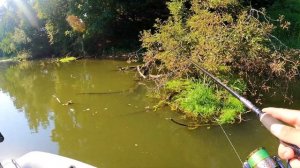 Обзор раттлина Kosadaka Bent Vib