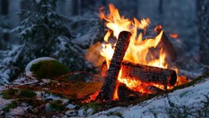 Костёр в снежном лесу / Campfire in a Snowy Forest
