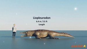 Ancient Marin reptiles Size comparison 3D