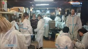 Единый центр спасения пострадавших от мазута птиц организовали в Анапе