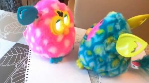 Фёрби разговаривают.