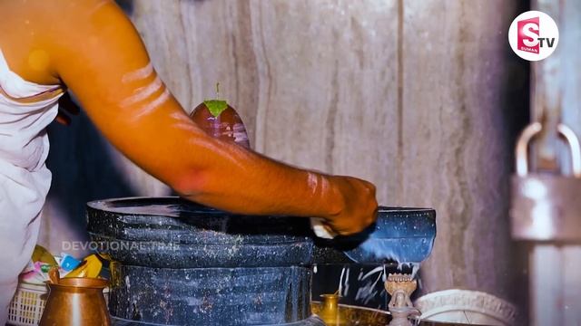 Kashi Vishwanadha Suprabhatam - Lord Shiva Telugu Bhakti Songs | Lord Shiva Devotional Songs 2022