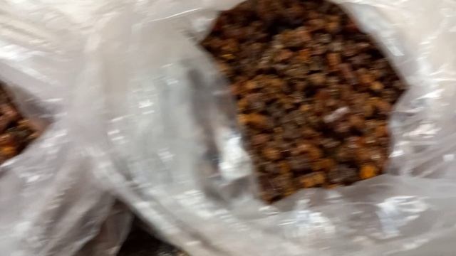 Перга из Марий Эл смотреть онлайн