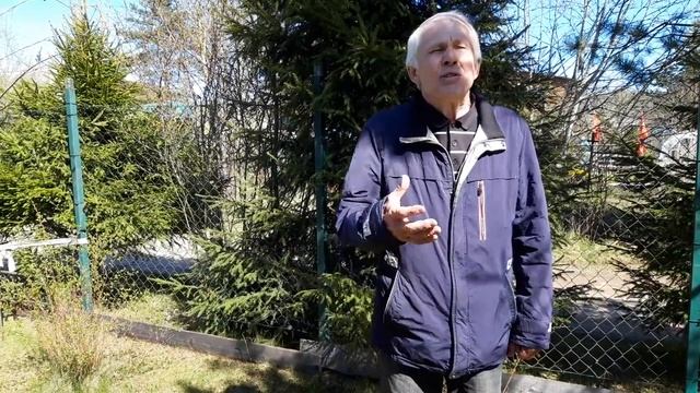 Василий Тёркин. О награде. Твардовский Александр Трифонович