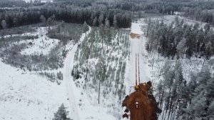 партизаны в лесу