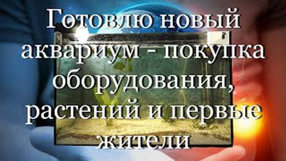 Готовлю новый аквариум - покупка оборудования, растений и первые жители #мой_мир_поморье