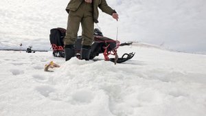 ЗАКРЫВАЮ ЗИМНИЙ СЕЗОН 2024 НА СНЕГОХОДЕ IKUDZO HUNTER