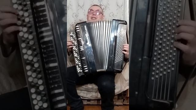 Жёлтые тюльпаны на баяне.