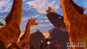 Timon and Pumbaa Rewind The Lion King🐗🐭🦆🐯🐱🐵😼🐲🐷🐶