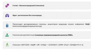 Метаболизм клетки. Обеспечение клеток энергией