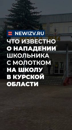 Что известно о нападении школьника с молотком на школу в Курской области