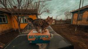Посылка из Беломорска