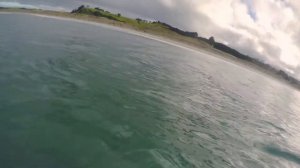 Alive In New zealand - Ep 9 - Marlin, Surfing & Smoked Fish