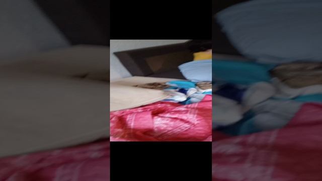 выживают в майнкрафте в канце я ум•• смотреть онлайн