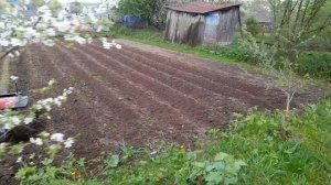 Результат после недоежей.