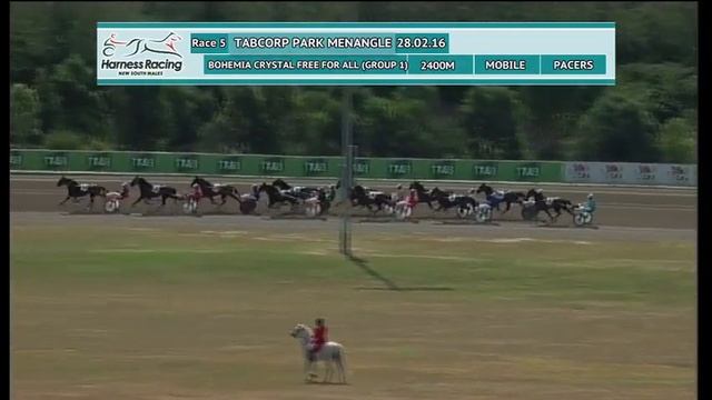 TABCORP PK MENANGLE - 28/02/2016 - Race 5 - BOHEMIA CRYSTAL FREE FOR ALL  (GROUP 1)