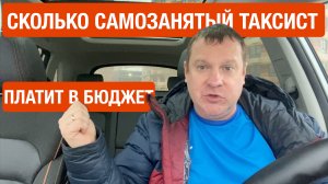 Налоги с самозанятого. Сколько мы платим в бюджет ежегодно?