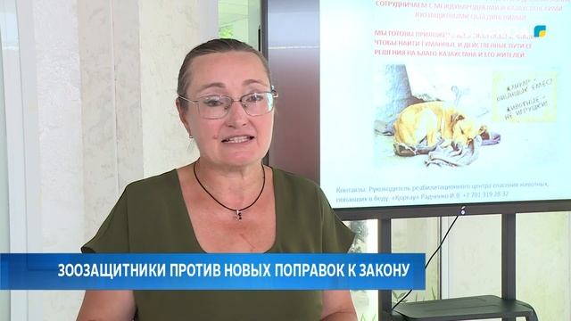 Зоозащитники против новых поправок к закону