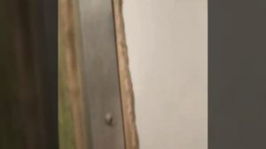 Киборг - убийца ☝️😉✌️😂😂😂