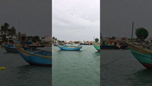 Муйне. Рыбацкий рынок. Катание на круглой вьетнамской лодке. Декабрь 2024.