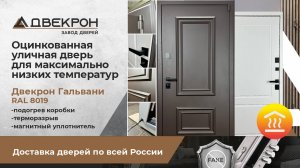 Оцинкованная уличная дверь для максимально низких температур Двекрон Гальвани Р2 RAL 8019