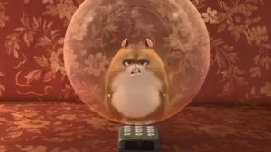 Мы хомяки и мы хомячим